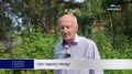 ЧТО УБИЛО ПТИЦ?. Тайна Халактырского пляжа: что убило сотни морских птиц на Камчатке? О первых выводах ученых расскажем в сюжете