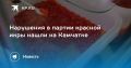 Нарушения в партии красной икры на Камчатке!