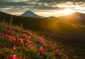 ����� �� ����� ������� ������� ����� 9-�� ������ ��-�� ������ � �������