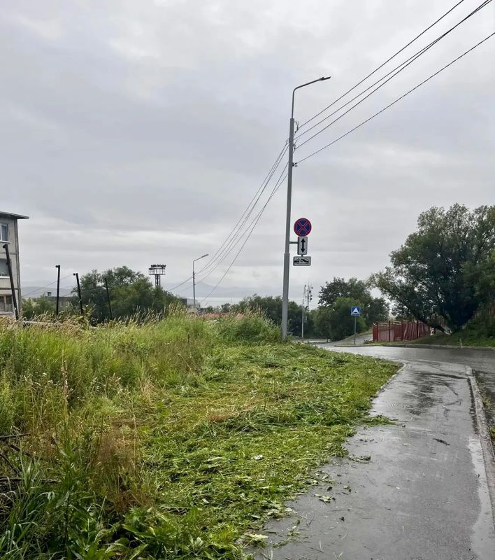 Город день за днем. . 2 сентября 2026 года В Петропавловске-Камчатском продолжаются мероприятия по содержанию городских территорий Город день за днем. . 2 сентября 2026 года В Петропавловске-Камчатском продолжаются мероприятия по содержанию городских территорий