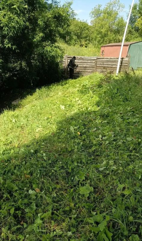 В Петропавловске-Камчатском реализуется комплексная программа по ликвидации борщевика Сосновского В Петропавловске-Камчатском реализуется комплексная программа по ликвидации борщевика Сосновского
