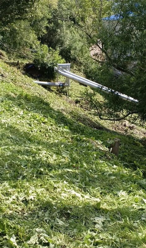 В Петропавловске-Камчатском реализуется комплексная программа по ликвидации борщевика Сосновского В Петропавловске-Камчатском реализуется комплексная программа по ликвидации борщевика Сосновского