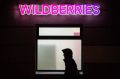 �������� ������������� ����� � ������������ Wildberries � Ozon