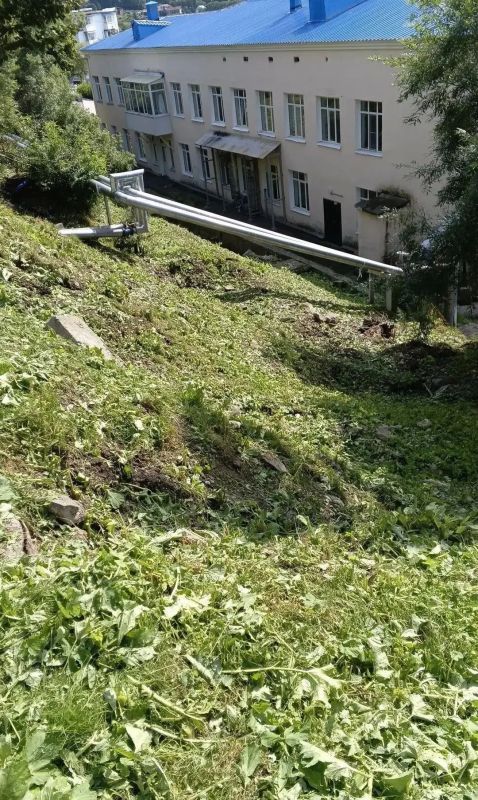 В Петропавловске-Камчатском реализуется комплексная программа по ликвидации борщевика Сосновского В Петропавловске-Камчатском реализуется комплексная программа по ликвидации борщевика Сосновского