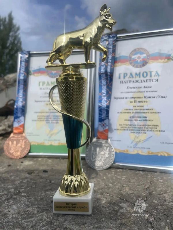 Камчатский спасатель-кинолог Анна Ечевская и бордер-колли Ума взяли одно из призовых мест на всероссийских соревнованиях МЧС России Камчатский спасатель-кинолог Анна Ечевская и бордер-колли Ума взяли одно из призовых мест на всероссийских соревнованиях МЧС России