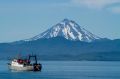 Досрочное голосование на морских судах