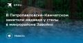 Медведь в Петропавловске-Камчатском