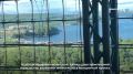Камчатка представила ключевые инициативы по развитию региона на ВЭФ-2026