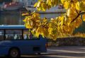 Синоптик Приходько раскрыла, чего ждать от осени и зимы на Камчатке