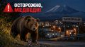 В Заозёрном ночью отстрелили медведя