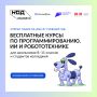 На Госуслугах открыт прием заявлений на участие в проекте Минцифры России «Код будущего» — это бесплатное обучение программированию для школьников и студентов