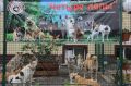 В Милькове создают открытое пространство для общения с животными