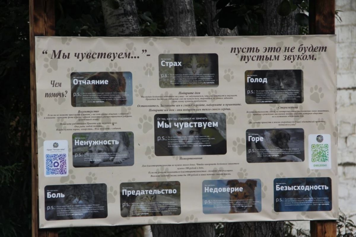В Милькове создают открытое пространство для общения с животными В Милькове создают открытое пространство для общения с животными