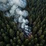 На Камчатке продолжают тушить два лесных пожара — угрозы населению нет