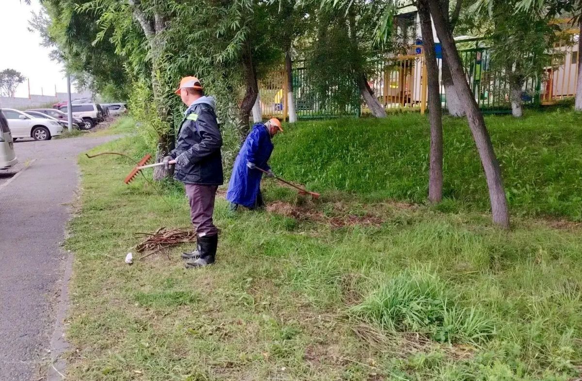 Город день за днем. . 9 сентября 2026 года Продолжаются мероприятия по содержанию городских территорий Подрядные организации проводят покос и вывоз травы на ул. Солнечная Рабочие с помощью специализированной техники... Город день за днем. . 9 сентября 2026 года Продолжаются мероприятия по содержанию городских территорий Подрядные организации проводят покос и вывоз травы на ул. Солнечная Рабочие с помощью специализированной техники...