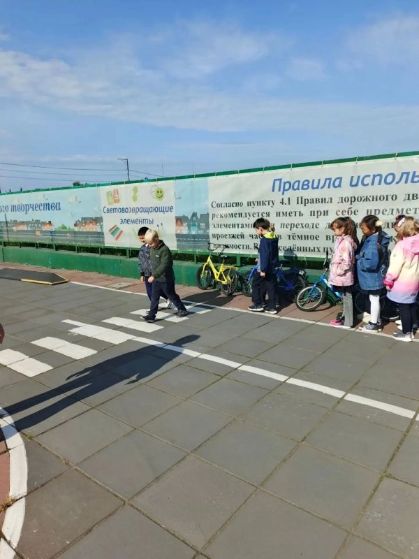 Школьники краевой столицы повторяют правила дорожного движения Школьники краевой столицы повторяют правила дорожного движения