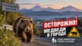 � ��������������-���������� ��������� ����� ���������� ���������� ��-�� ��������� ������ �������� � ��������� �����