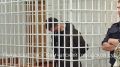 Житель Петропавловска получил 3 года колонии за разбой с золотой цепочкой