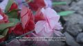 Аллею Героев в Вилючинске благоустроят к концу октября
