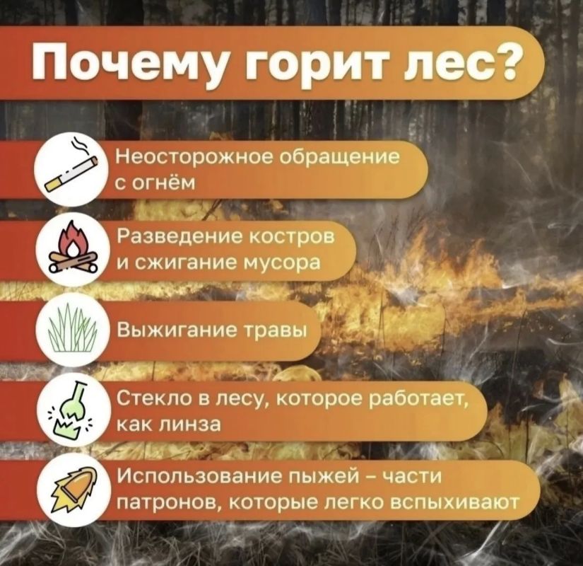 Лесные пожары чаще всего возникают по вине человека: пал сухостоя, выброшенная сигарета из окна автомобиля, плохо затушенное кострище