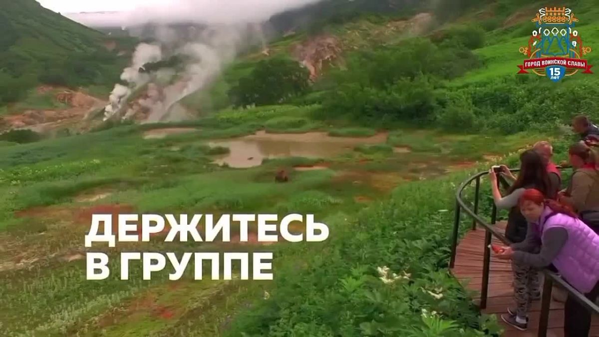 Напоминаем жителям города о необходимых мерах предосторожности в случае обнаружения дикого животного