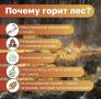 Лесные пожары чаще всего возникают по вине человека: пал сухостоя, выброшенная сигарета из окна автомобиля, плохо затушенное кострище
