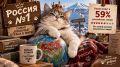 Россия — самая «кошачья» страна в мире!