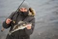 На Камчатке две рыбачки избежали суда благодаря ошибкам рыбинспекторов
