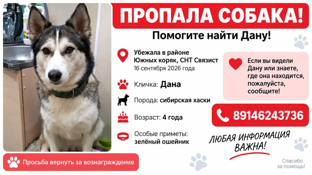 #нам_пишут. Объявление от автора сообщения - в публикации