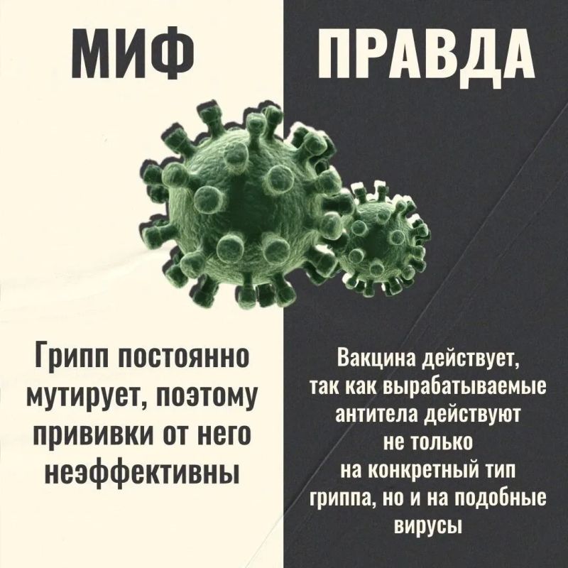 Грипп: Разоблачаем популярные заблуждения Грипп: Разоблачаем популярные заблуждения