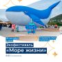 Праздничные мероприятия в рамках экофестиваля «Море жизни» пройдут в г. Елизово