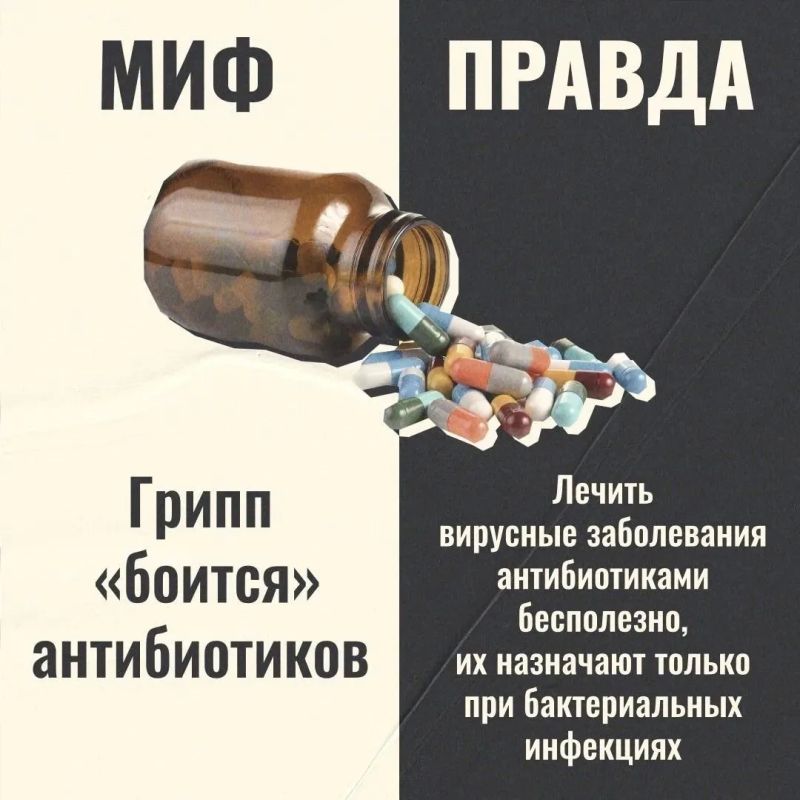 Грипп: Разоблачаем популярные заблуждения Грипп: Разоблачаем популярные заблуждения