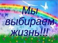 В Камчатском крае стартовал второй этап Общероссийской акции «Сообщи, где торгуют смертью!»