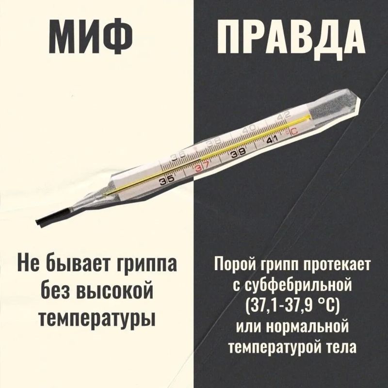 Грипп: Разоблачаем популярные заблуждения Грипп: Разоблачаем популярные заблуждения