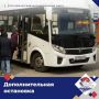 Работу общественного транспорта в Усть-Камчатске скорректировали из-за медведей