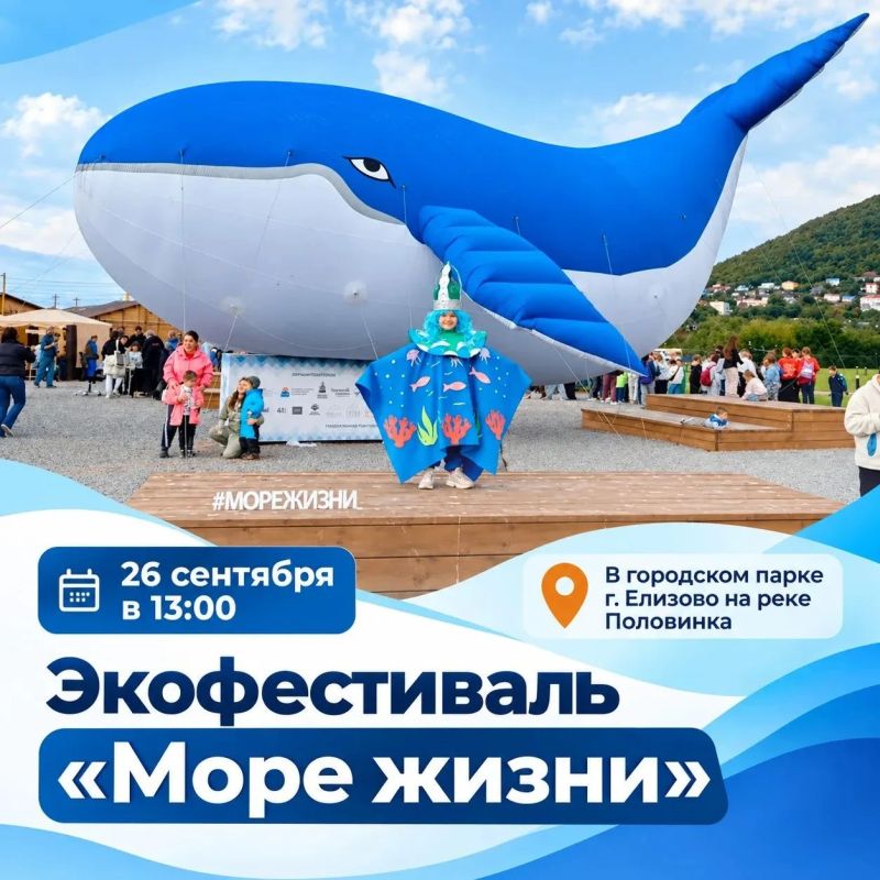 Праздничные мероприятия в рамках экофестиваля «Море жизни» пройдут в г. Елизово