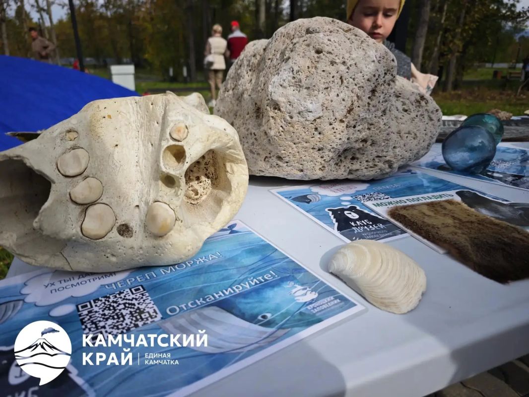 Огромный кит встречает гостей фестиваля «Море жизни» Огромный кит встречает гостей фестиваля «Море жизни»