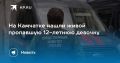 Пропавшую девочку нашли. На Камчатке завершились поиски 12-летней девочки из Петропавловска-Камчатского