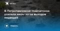 Медведи в Петропавловске-Камчатском: меры реагирования усилили