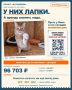Снимите комнату коту на октябрь