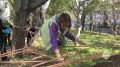 Квест-игра, посвящённая безопасности, прошла в школе Петропавловска-Камчатского
