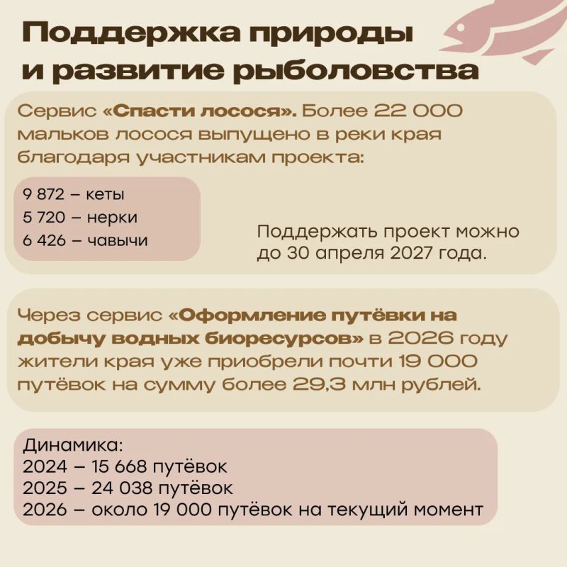 Прямой эфир с министром цифрового развития Камчатского края Григорием Бондаренко: итоги и планы Прямой эфир с министром цифрового развития Камчатского края Григорием Бондаренко: итоги и планы