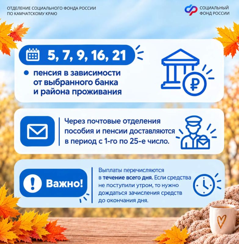 В октябре Отделение СФР по Камчатскому краю перечислит пенсии и пособии по следующему графику: В октябре Отделение СФР по Камчатскому краю перечислит пенсии и пособии по следующему графику: