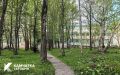 Сквер на Тушканова благоустроят в 2027 году