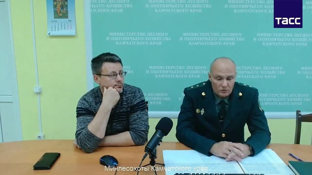 На Камчатке приняли 422 сообщения о выходе медведей в 2026 году, рассказал в пресс-центре "ТАСС Дальний Восток" начальник отдела федерального государственного охотничьего контроля Министерства лесного и охотничьего хозяйства...