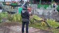 �� ���������� ����������� �������� ������� �� ��������� ��������
