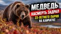 Медведь насмерть задрал 23-летнего парня на Камчатке