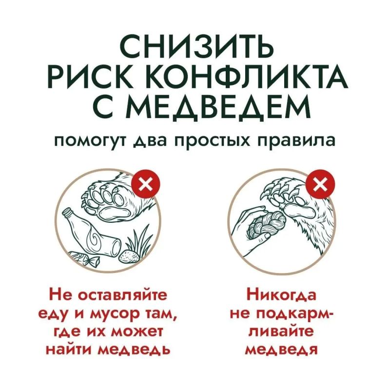 Что во дворе частного дома может понравиться медведю? Что во дворе частного дома может понравиться медведю?