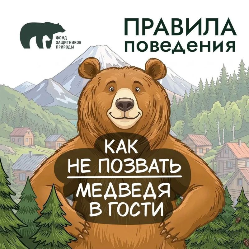 Что во дворе частного дома может понравиться медведю?