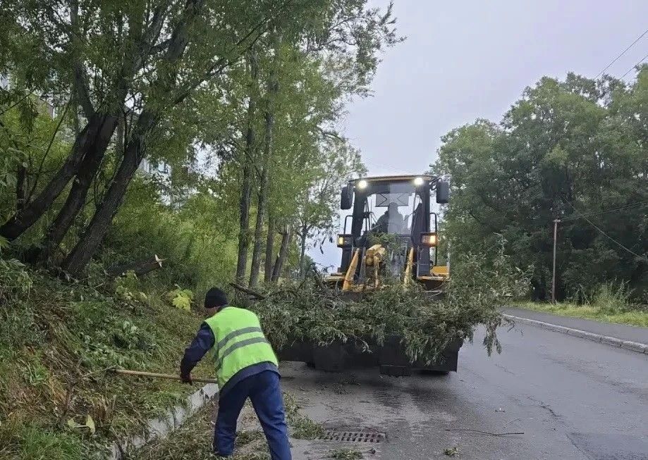 Город день за днем. 1 октября 2026 года Городские службы продолжают сезонные работы по содержанию территорий В Петропавловске-Камчатском проводится обрезка деревьев и кустарников вдоль дорог и пешеходных зон Город день за днем. 1 октября 2026 года Городские службы продолжают сезонные работы по содержанию территорий В Петропавловске-Камчатском проводится обрезка деревьев и кустарников вдоль дорог и пешеходных зон